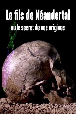 Le fils de Néandertal ou le secret de nos origines (2016) Le fils de Néandertal ou le secret de nos origines (2016)