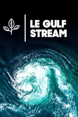 Le Gulf Stream (2017)