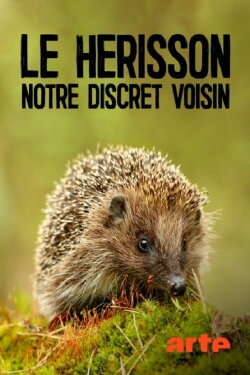 Le hérisson, notre discret voisin (2019) Le hérisson, notre discret voisin (2019)