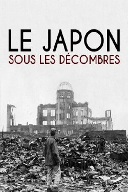 Le Japon sous les décombres (2005) Le Japon sous les décombres (2005)