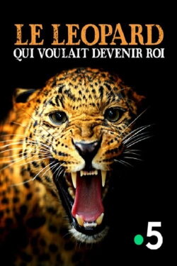 Le léopard qui voulait devenir roi (2013) Le léopard qui voulait devenir roi (2013)