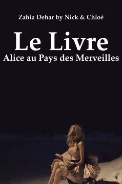 Le Livre (2011)