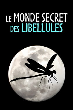 Le Monde secret des libellules (2020) Le Monde secret des libellules (2020)