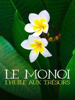 Le monoï : l'huile aux trésors (2023) Le monoï : l'huile aux trésors (2023)