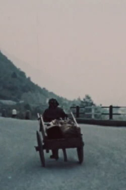 Le nerte (1962)