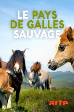 Le pays de Galles sauvage (2018) Le pays de Galles sauvage (2018)