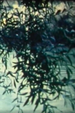 Le radar cherche (1976)