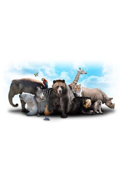 Le Serengeti, théâtre insolite de la faune sauvage (2014) Le Serengeti, théâtre insolite de la faune sauvage (2014)