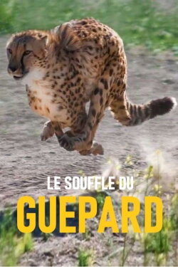 Le souffle du guépard (2018)