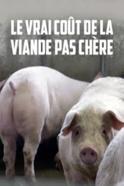 Le vrai coût de la viande pas chère (2017) Le vrai coût de la viande pas chère (2017)