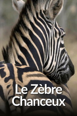 Le Zèbre chanceux (2023)