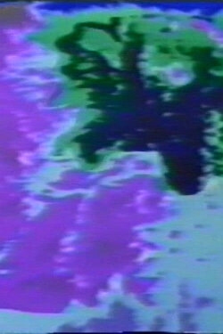 Leaves & Trees (1973) Leaves & Trees (1973)
