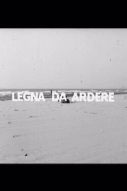 Legna da ardere (1969) Legna da ardere (1969)