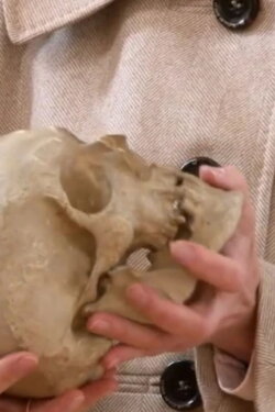 Leibnitz' Skull (2012) Leibnitz' Skull (2012)