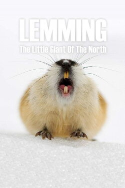 Lemming: The Little Giant of the North (2017) Lemming: The Little Giant of the North (2017)