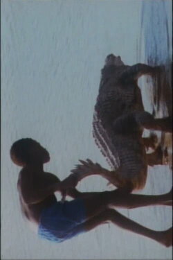 L'enfant et le caïman (1999) L'enfant et le caïman (1999)