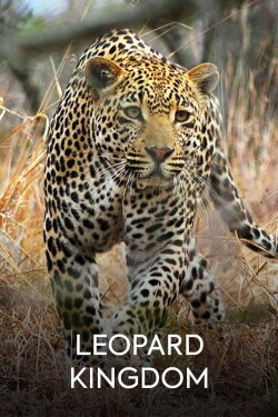Leopard Kingdom (2019) Leopard Kingdom (2019)