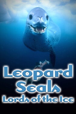 Leopard Seals: Lords of the Ice (2004) Leopard Seals: Lords of the Ice (2004)