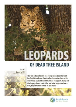 Leopards of Dead Tree Island (2010) Leopards of Dead Tree Island (2010)