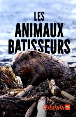 Les Animaux bâtisseurs (2018) Les Animaux bâtisseurs (2018)