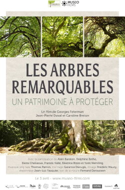 Les arbres remarquables, un patrimoine à protéger (2019) Les arbres remarquables, un patrimoine à protéger (2019)