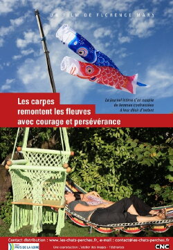 Les carpes remontent les fleuves avec courage et persévérance (2012)