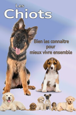Les Chiots Les Chiots