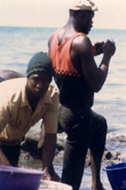 Les chutes de Ngalam (1989) Les chutes de Ngalam (1989)