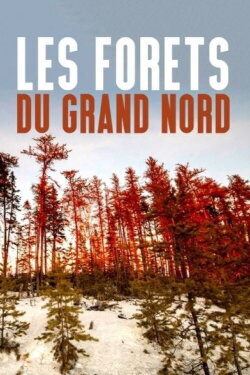 Les forêts du Grand Nord (2020)