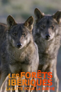 Les forêts ibériques : La lutte pour la survie (2020)