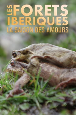 Les forêts ibériques : La saison des amours (2020) Les forêts ibériques : La saison des amours (2020)