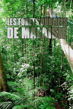 Les forêts oubliées de Malaisie (2017) Les forêts oubliées de Malaisie (2017)