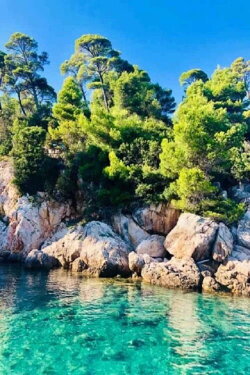 Les îles de la Dalmatie : Un jardin au coeur de l'Adriatique (2011) Les îles de la Dalmatie : Un jardin au coeur de l'Adriatique (2011)