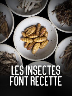 Les insectes font recette (2021) Les insectes font recette (2021)