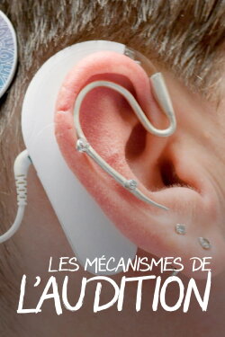 Les mécanismes de l'audition, une ouïe très fine (2020) Les mécanismes de l'audition, une ouïe très fine (2020)