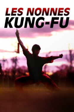 Les nonnes kung-fu : bouddhistes et féministes (2023)
