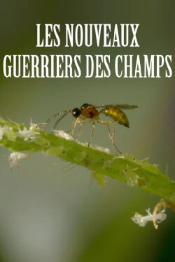 Les nouveaux guerriers des champs (2016) Les nouveaux guerriers des champs (2016)
