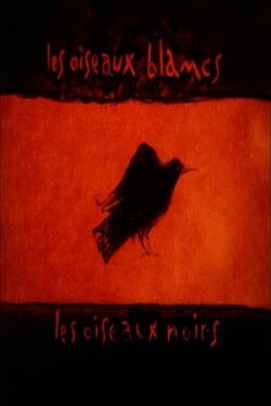 Les oiseaux blancs, les oiseaux noirs (2003) Les oiseaux blancs, les oiseaux noirs (2003)