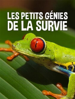 Les petits génies de la survie (2011) Les petits génies de la survie (2011)