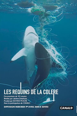 Les Requins de la Colère (2015)
