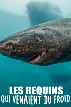 Les requins qui venaient du froid (2020) Les requins qui venaient du froid (2020)