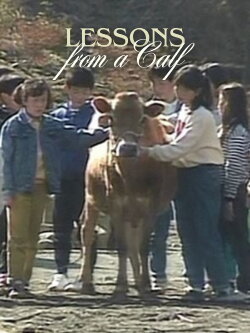 Lessons from a Calf (1991) Lessons from a Calf (1991)