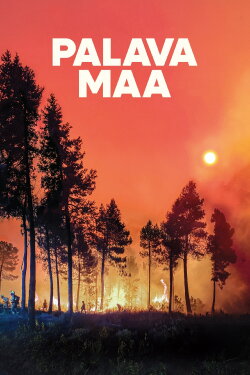 Lessons in Fire (2025)