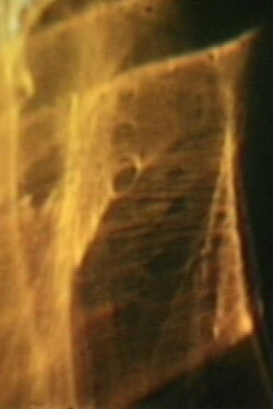 Let There Be Light (1956)