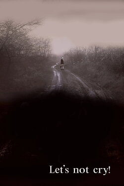 Let's Not Cry! (2007)