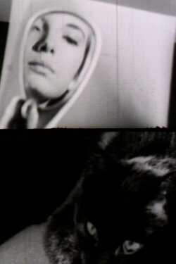 Lettere (1965)