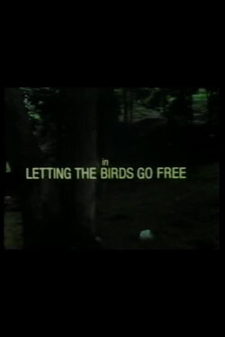 Letting the Birds Go Free (1983) Letting the Birds Go Free (1983)