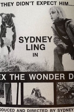 Lex, the Wonder Dog (1973) Lex, the Wonder Dog (1973)