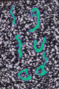 LGFUAD (2010)