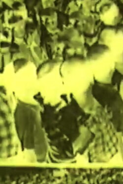 Liber Zuviel Als Zuwenig (1998)